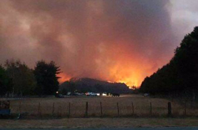New-Zealand-fires