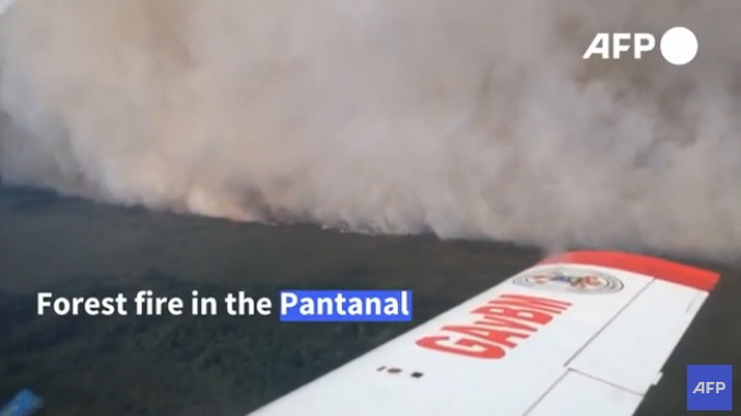 (678)pantanal0805