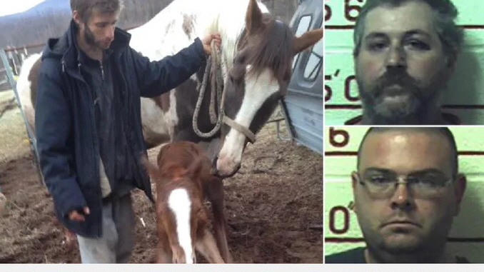 Farmers who had orgies with horses, goats, dogs and a cow fail in bid to be freed from jail