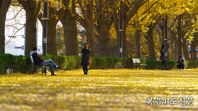 Autumn scenery of Korea 20220526
