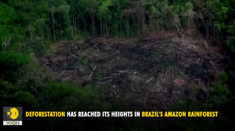 Amazon deforestation-220804(1190)
