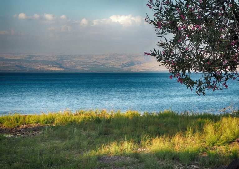 20221213 Lake Tiberias-min