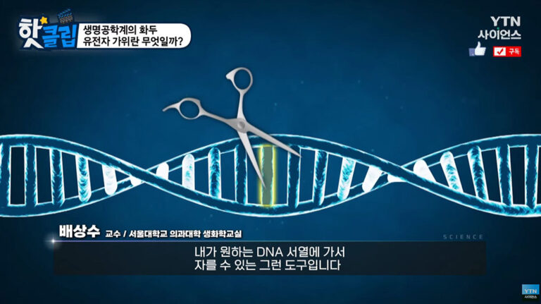1019_DNA_YTN