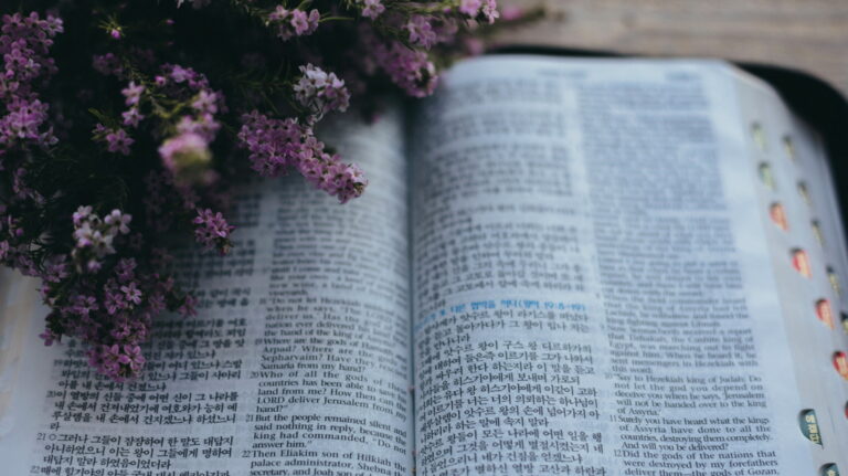 korea-bible-241004-unsplash