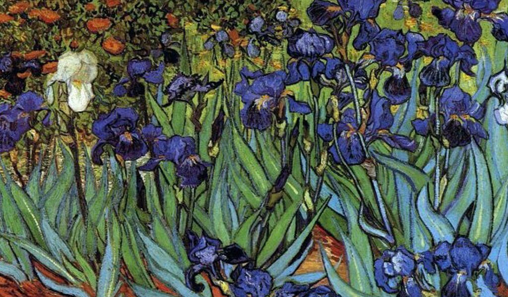 irises van gogh 241120