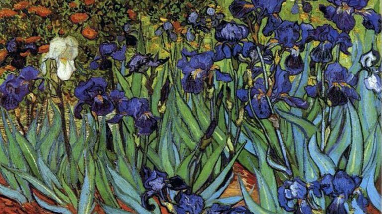 irises-van-gogh-241120